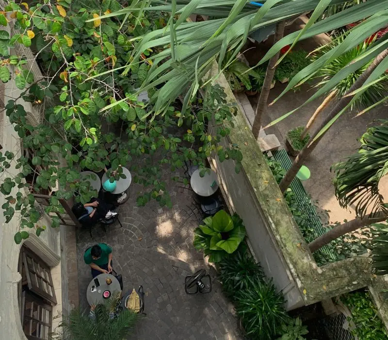 Kh&aacute;m ph&aacute; Beanthere Cafe, khu vườn xanh m&aacute;t giữa l&ograve;ng S&agrave;i G&ograve;n 5