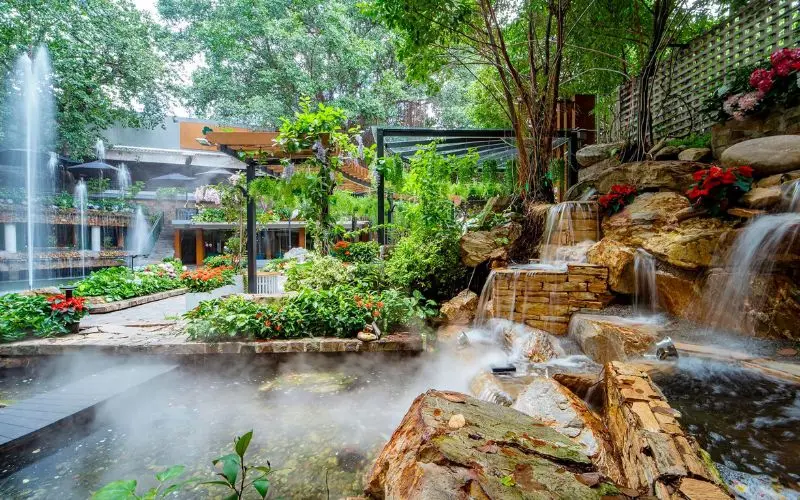 Quán Du Miên Garden Cafe: Khu vườn xanh mát giữa Sài Thành 5