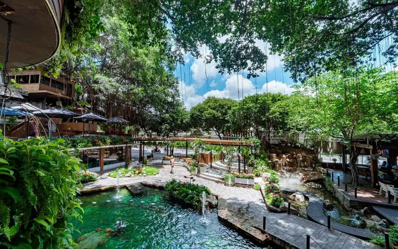 Quán Du Miên Garden Cafe: Khu vườn xanh mát giữa Sài Thành 2