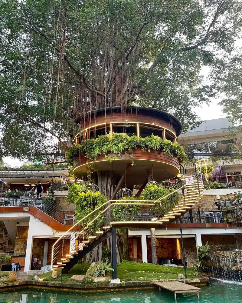 Quán Du Miên Garden Cafe: Khu vườn xanh mát giữa Sài Thành 7