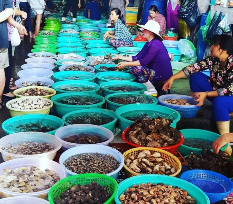 Bỏ túi ngay kinh nghiệm đi chợ Hàng Dương ăn hải sản tẹt ga