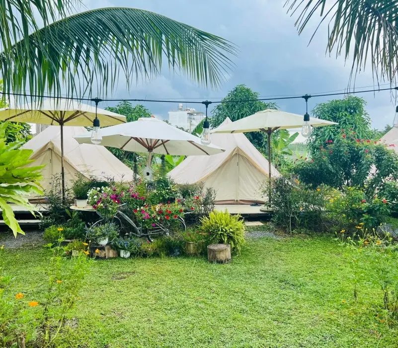 Có một Mimosa Farmstay yên bình nơi ngoại ô thành phố
