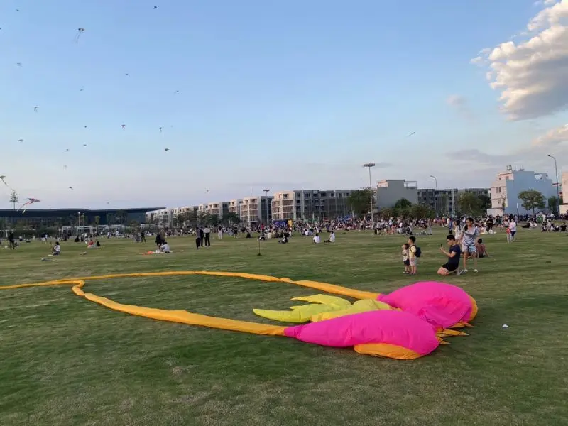 Bãi thả diều City Park, tận hưởng những chiều lộng gió tại Tp. Thủ Đức 12
