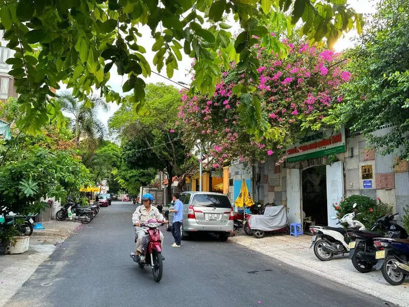 Cư x&aacute; Bắc Hải: Những c&acirc;u chuyện chưa kể về một khu phố lịch sử 4