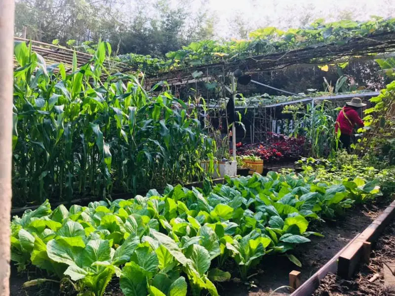 Khu thương mại xanh Family Garden độc đ&aacute;o giữa l&ograve;ng S&agrave;i G&ograve;n 6