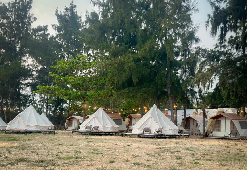 Lata camping: Địa điểm d&atilde; ngoại đẹp nhất tại Cần Giờ 8