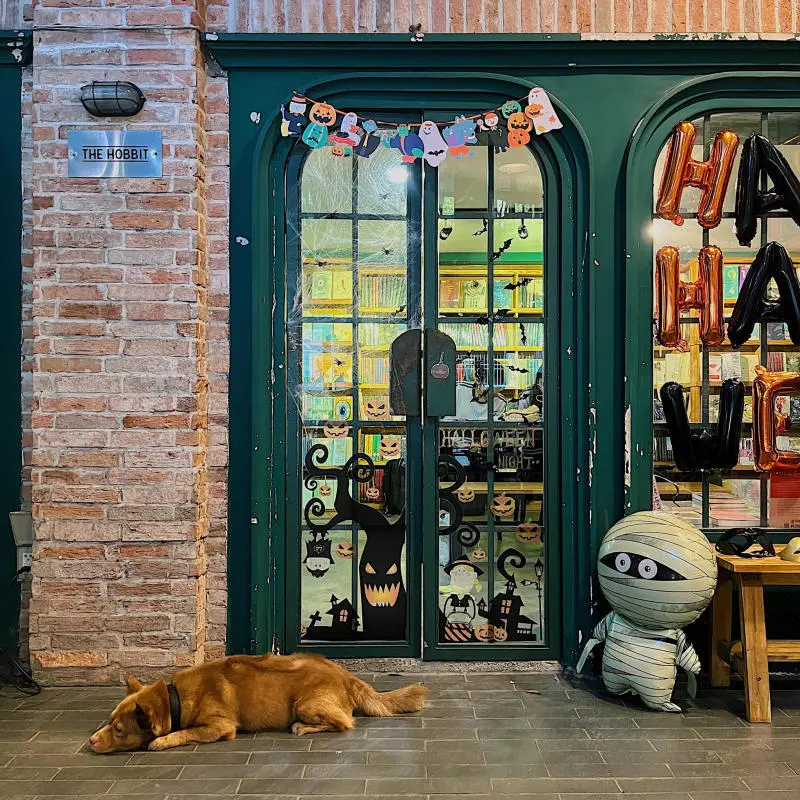 Nh&atilde; Nam Books N' Coffee, c&agrave; ph&ecirc; s&aacute;ch y&ecirc;n ả giữa l&ograve;ng S&agrave;i G&ograve;n 12