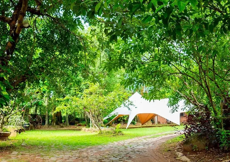 Phường Thủ Đức: Th&ocirc;ng tin s&aacute;p nhật & điểm vui chơi th&uacute; vị 7
