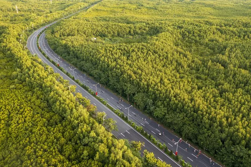 Sài Gòn có biển không? Top 7 bãi biển đẹp nhất ở TP.HCM 8