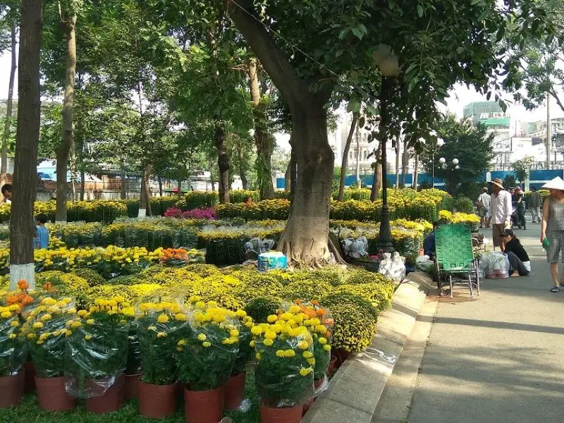 Tổng hợp 12 c&ocirc;ng vi&ecirc;n S&agrave;i G&ograve;n xanh m&aacute;t, đẹp nhất, đ&aacute;ng để kh&aacute;m ph&aacute; 11