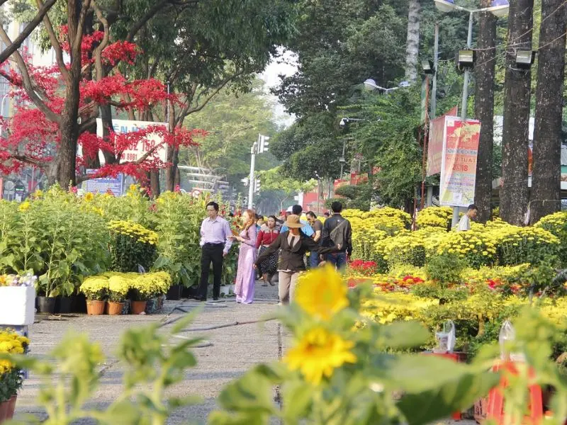 Top 10+ chợ hoa Tết Sài Gòn nổi tiếng nhộn nhịp bật nhất năm 2026 3