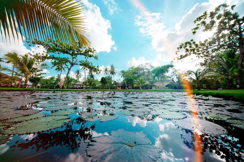 Top 13 khu du lịch sinh th&aacute;i ở TP.HCM kh&ocirc;ng gian miệt vườn xanh m&aacute;t 2