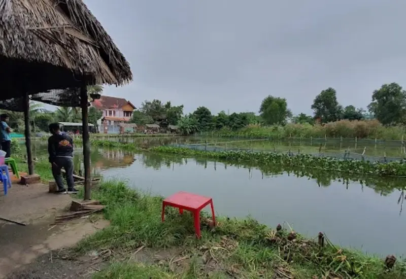 Top 9 hồ câu cá Sài Gòn rộng rãi, hòa mình với thiên nhiên 4
