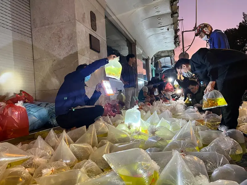 Trải nghiệm 6 khu chợ đ&ecirc;m S&agrave;i G&ograve;n, kh&aacute;m ph&aacute; th&agrave;nh phố kh&ocirc;ng ngủ 7