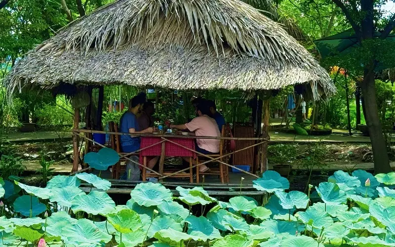 Trải nghiệm khu ẩm thực sinh th&aacute;i Sen Nam Bộ giữ l&ograve;ng S&agrave;i G&ograve;n 2