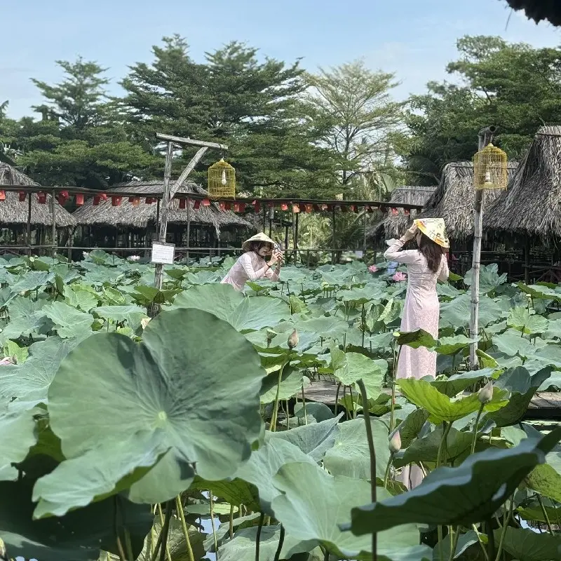 Trải nghiệm khu ẩm thực sinh th&aacute;i Sen Nam Bộ giữ l&ograve;ng S&agrave;i G&ograve;n 5
