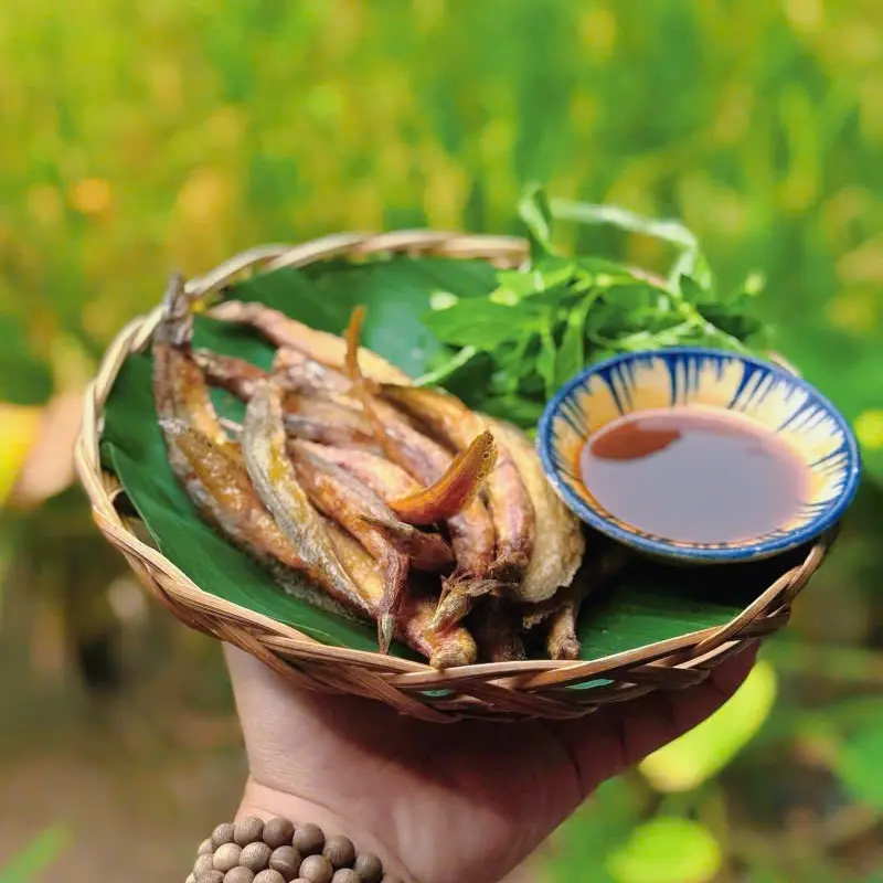 Trải nghiệm khu ẩm thực sinh th&aacute;i Sen Nam Bộ giữ l&ograve;ng S&agrave;i G&ograve;n 8