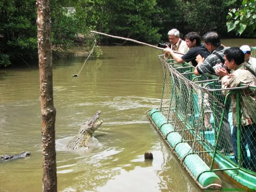 Về với thi&ecirc;n nhi&ecirc;n tại khu du lịch sinh th&aacute;i V&agrave;m S&aacute;t Cần Giờ 10
