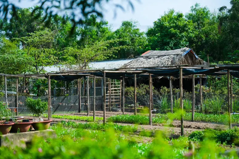 Vui qu&ecirc;n lối về ở n&ocirc;ng trại xanh 5Ku Farm giữa l&ograve;ng S&agrave;i G&ograve;n 9