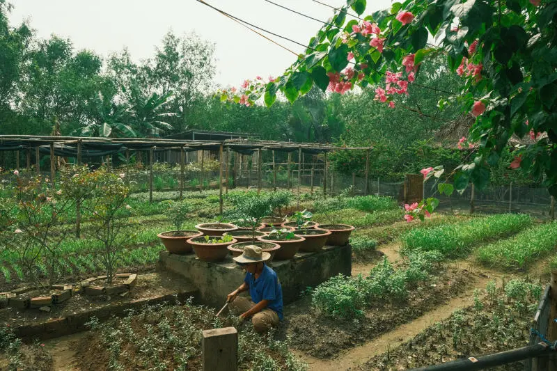 Vui qu&ecirc;n lối về ở n&ocirc;ng trại xanh 5Ku Farm giữa l&ograve;ng S&agrave;i G&ograve;n 8