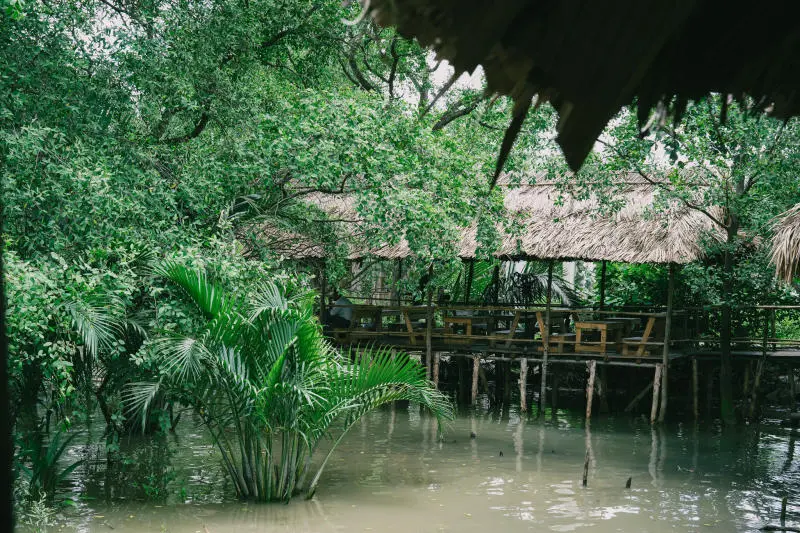 Vui qu&ecirc;n lối về ở n&ocirc;ng trại xanh 5Ku Farm giữa l&ograve;ng S&agrave;i G&ograve;n 3