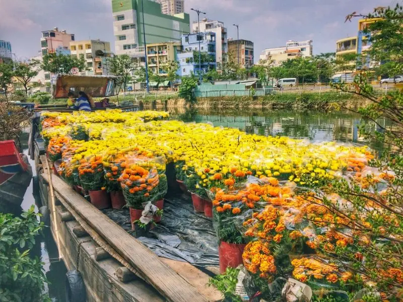 Top 10+ chợ hoa Tết Sài Gòn nổi tiếng nhộn nhịp bật nhất năm 2026