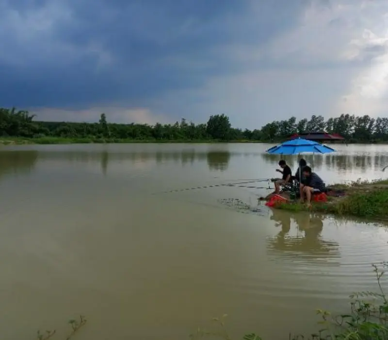 Top 9 hồ câu cá Sài Gòn rộng rãi, hòa mình với thiên nhiên