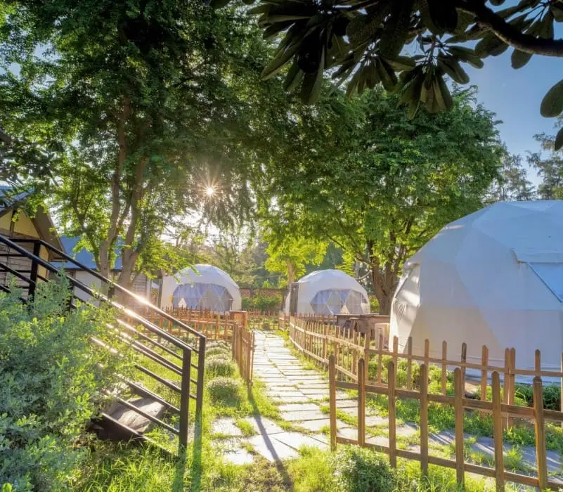 Vi vu tại top 8 glamping gần Sài Gòn cực chill