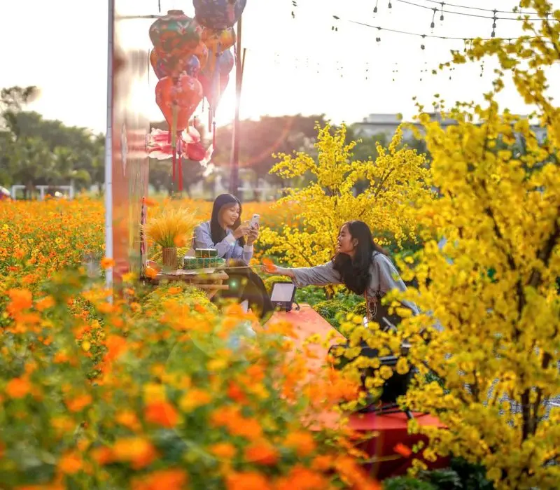 Lễ hội hoa Tết Vạn Phúc 2026 mang sắc xuân 4 miền hội tụ
