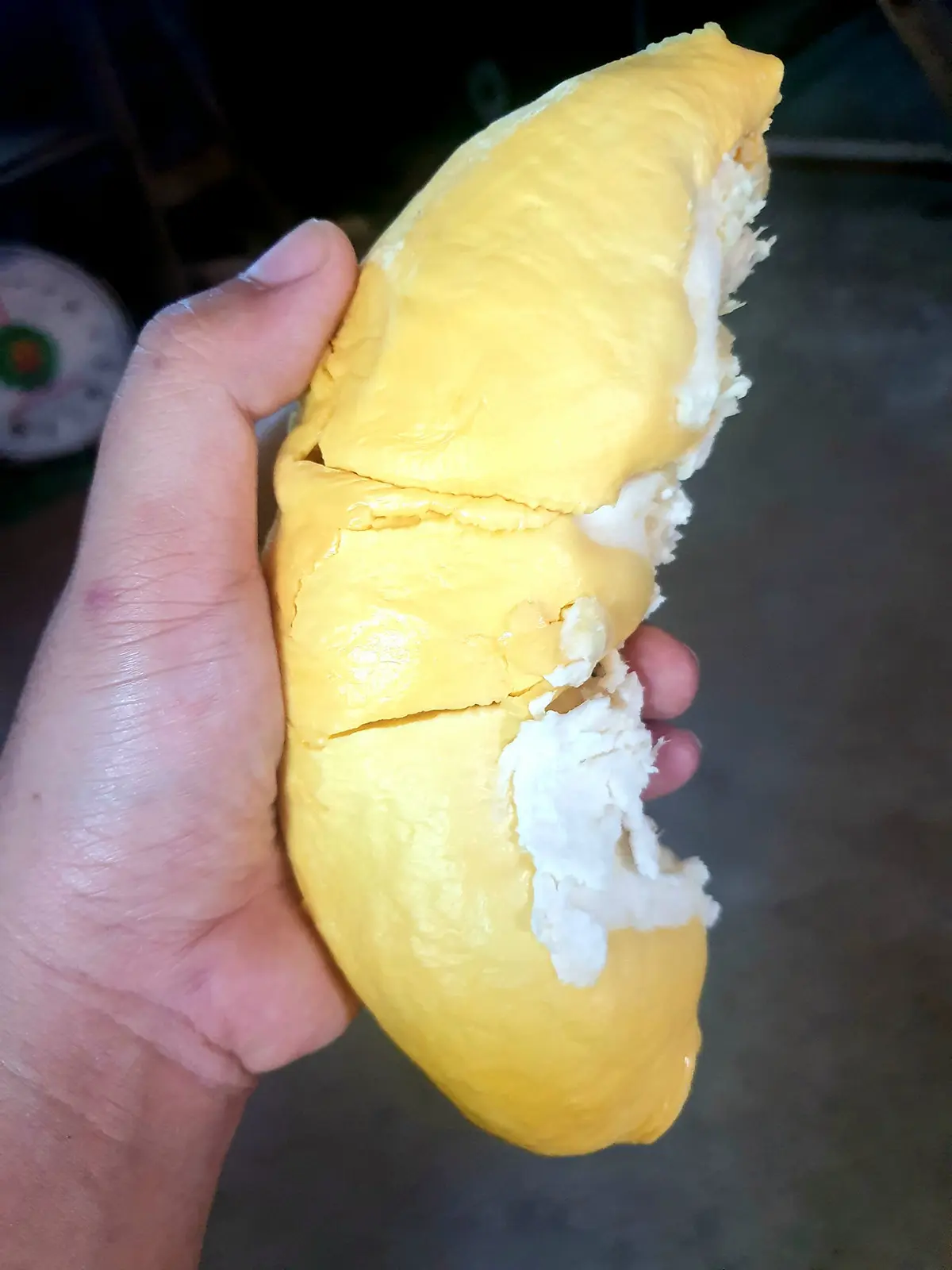 Sầu riêng Ngũ Hiệp và hương vị nức lòng người 6
