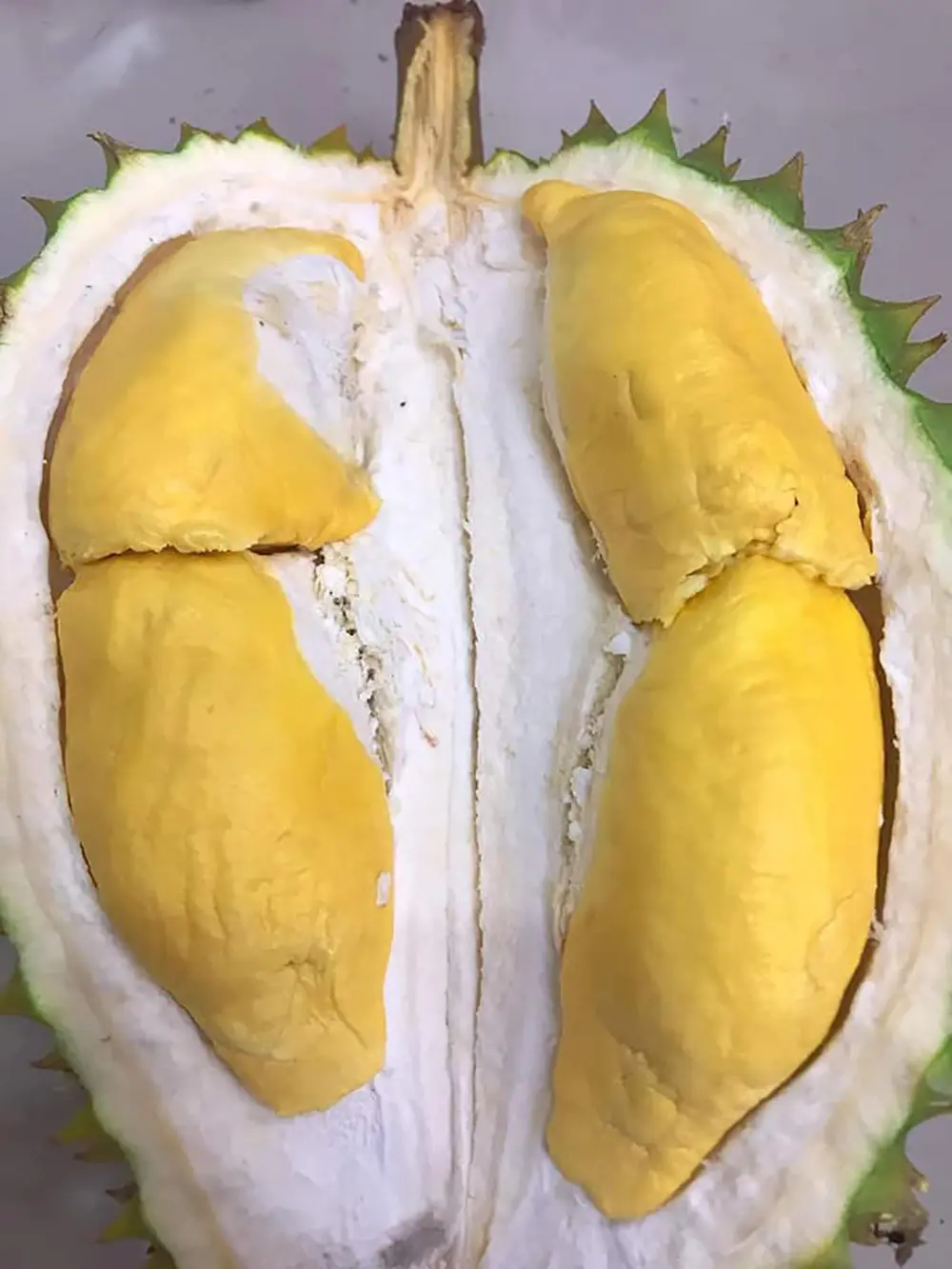 Sầu riêng Ngũ Hiệp và hương vị nức lòng người 5