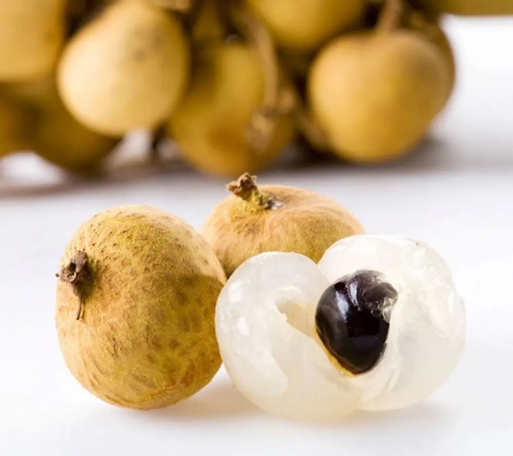 Thưởng thức hương vị Nhãn Nhị Quý thơm ngon quên lối về 5
