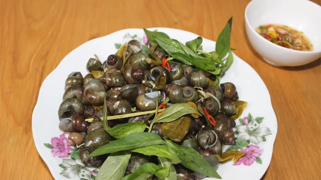 Thưởng thức Ốc gạo T&acirc;n Phong trứ danh khắp miền T&acirc;y s&ocirc;ng nước 4