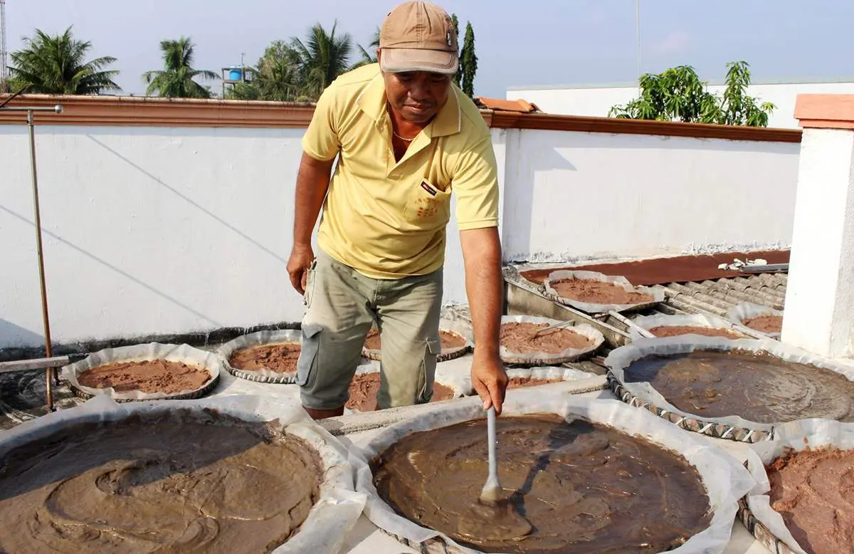 Về Tiền Giang thưởng thức đặc sản Mắm c&ograve;ng G&ograve; C&ocirc;ng 4