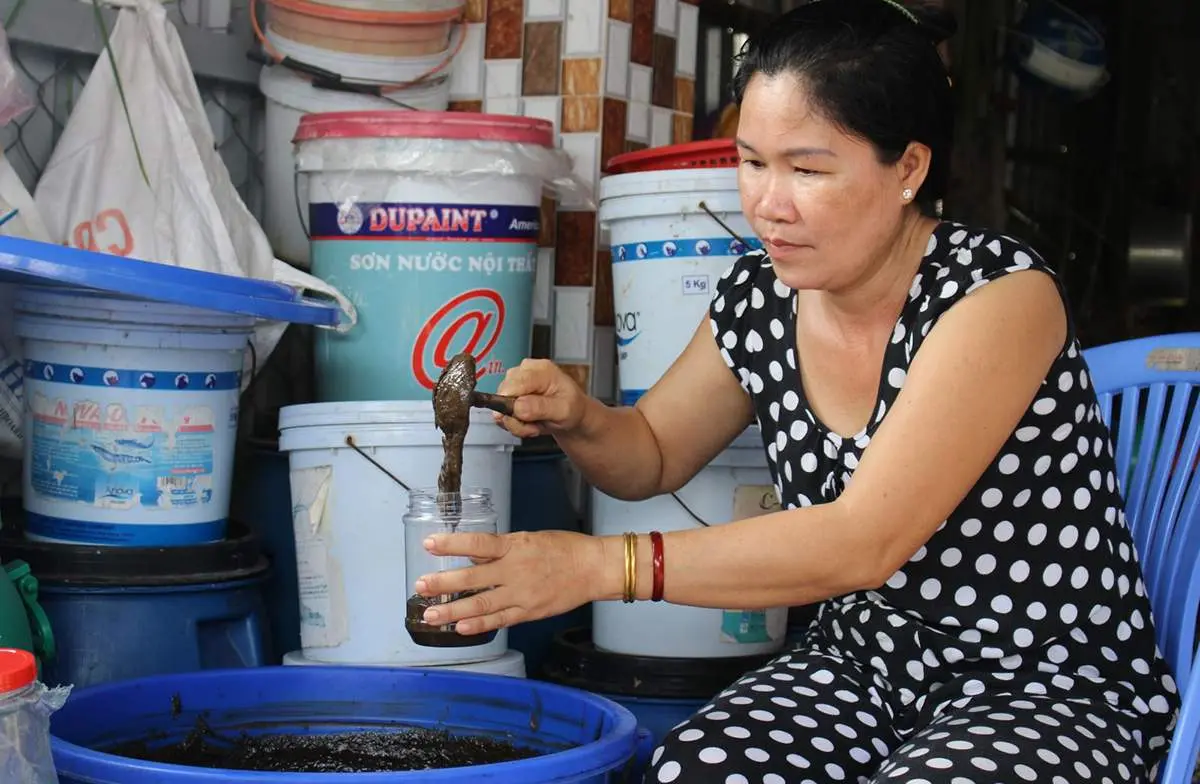 Về Tiền Giang thưởng thức đặc sản Mắm c&ograve;ng G&ograve; C&ocirc;ng 5