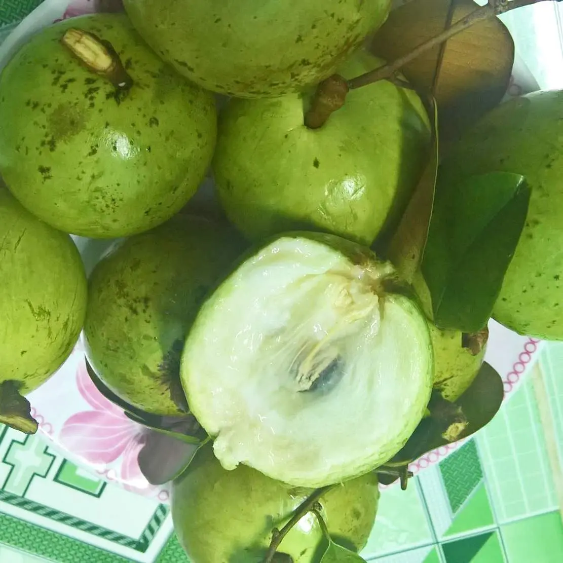 Về Tiền Giang thưởng thức V&uacute; sữa L&ograve; R&egrave;n Vĩnh Kim nức tiếng 3