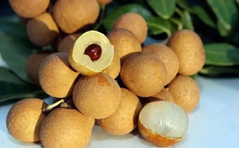 Thưởng thức hương vị Nhãn Nhị Quý thơm ngon quên lối về