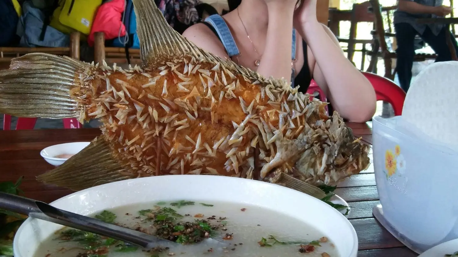 G&oacute;c review du lịch miệt vườn Tiền Giang, tưởng kh&ocirc;ng vui ai ngờ vui kh&ocirc;ng tưởng 3