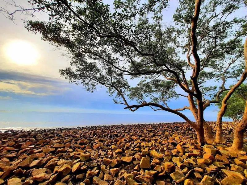 Khám phá biển Rạch Bùn hoang sơ và thanh bình 5