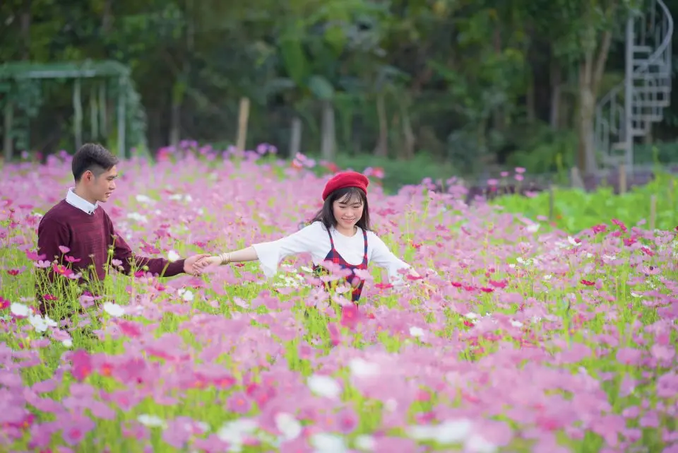 Review du lịch Tiền Giang chi tiết theo điểm đến v&agrave; m&oacute;n ăn 6
