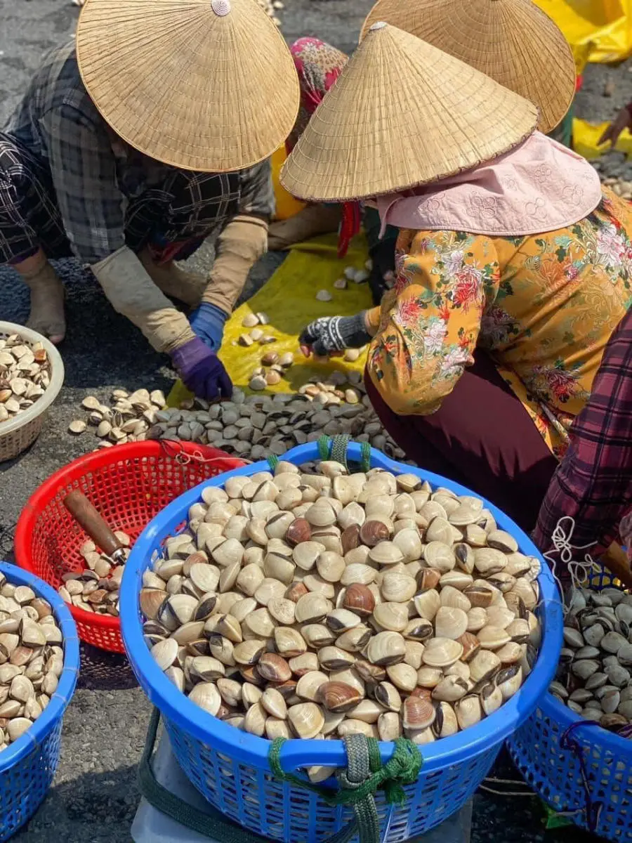 Review Trải nghiệm c&agrave;o ngh&ecirc;u ở biển T&acirc;n Th&agrave;nh c&oacute; g&igrave; th&uacute; vị 3
