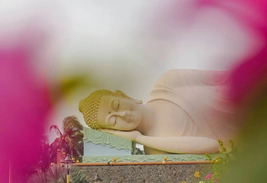 Vẻ đẹp thanh tao của Ch&ugrave;a Vĩnh Tr&agrave;ng dưới nắng gi&oacute; phương Nam 4