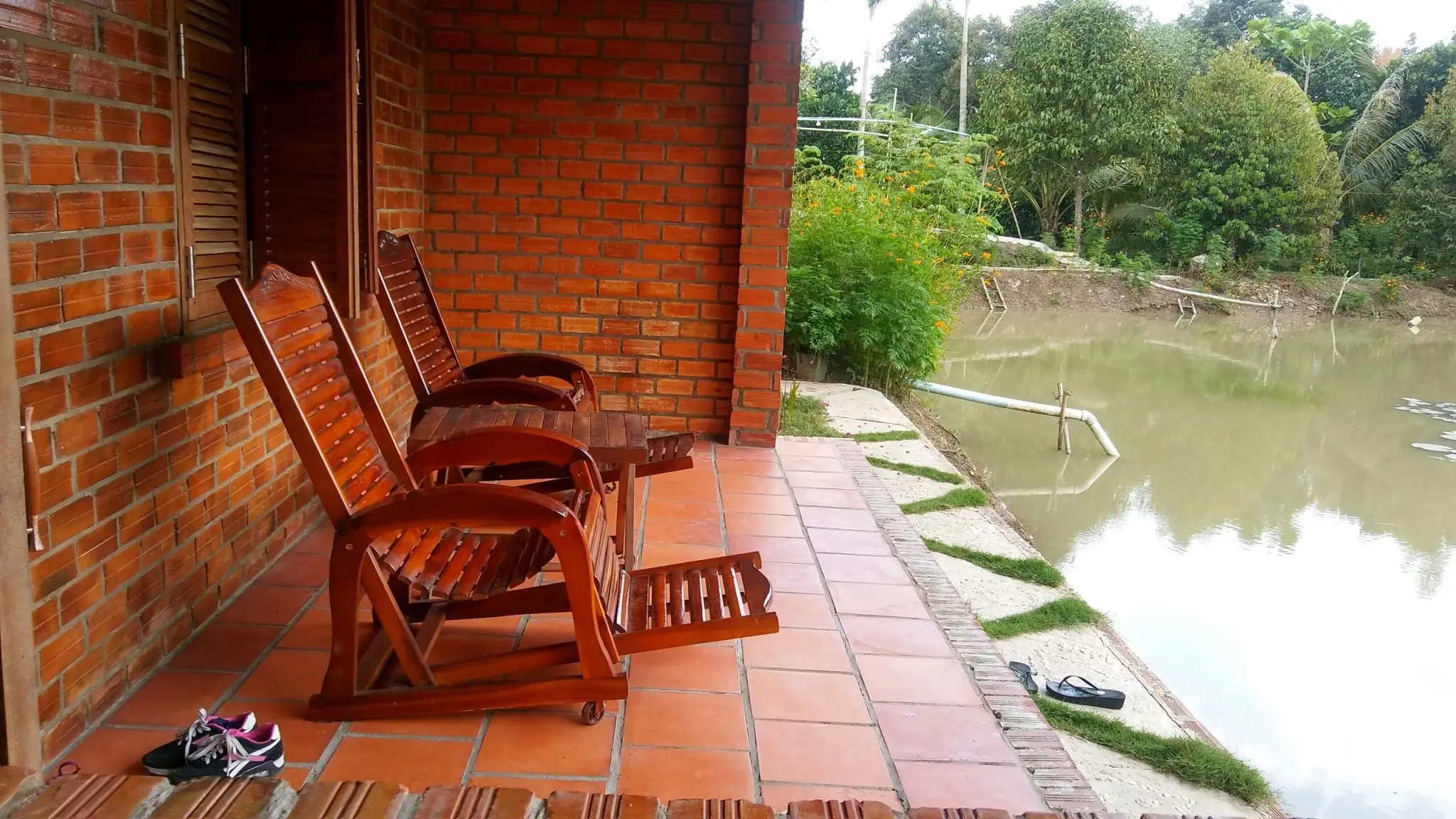 Góc review du lịch miệt vườn Tiền Giang, tưởng không vui ai ngờ vui không tưởng
