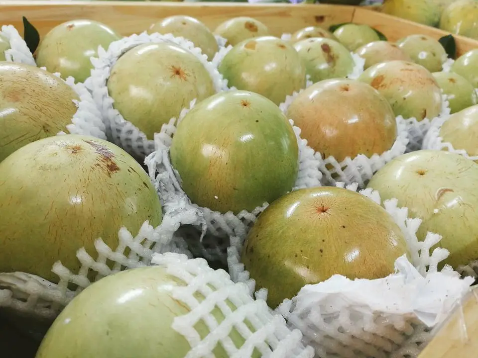 Tham khảo Lịch tr&igrave;nh Tiền Giang 3 ng&agrave;y thăm th&uacute; cả Bến Tre 3