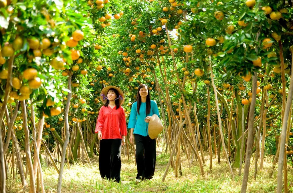 V&agrave;o m&agrave; xem Lịch tr&igrave;nh kh&aacute;m ph&aacute; Tiền Giang 2 ng&agrave;y vui tẹt ga 2