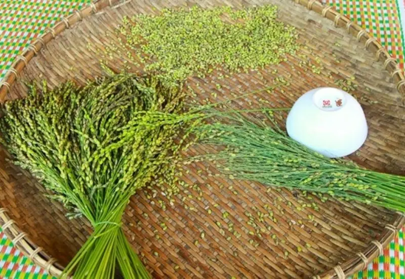 Cốm dẹp Trà Vinh: Đặc sản nổi tiếng bao đời của người Khmer 4