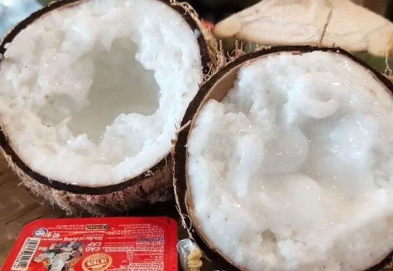 Đặc sản dừa sáp Trà Vinh và những cách chế biến chuẩn miền Tây 7