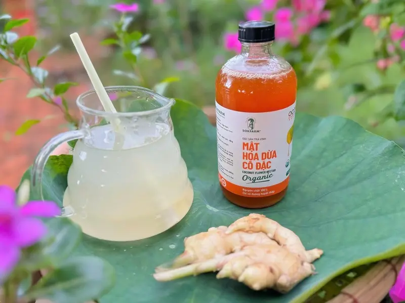 Thưởng thức mật hoa dừa, tinh t&uacute;y đặc sản Tr&agrave; Vinh 7