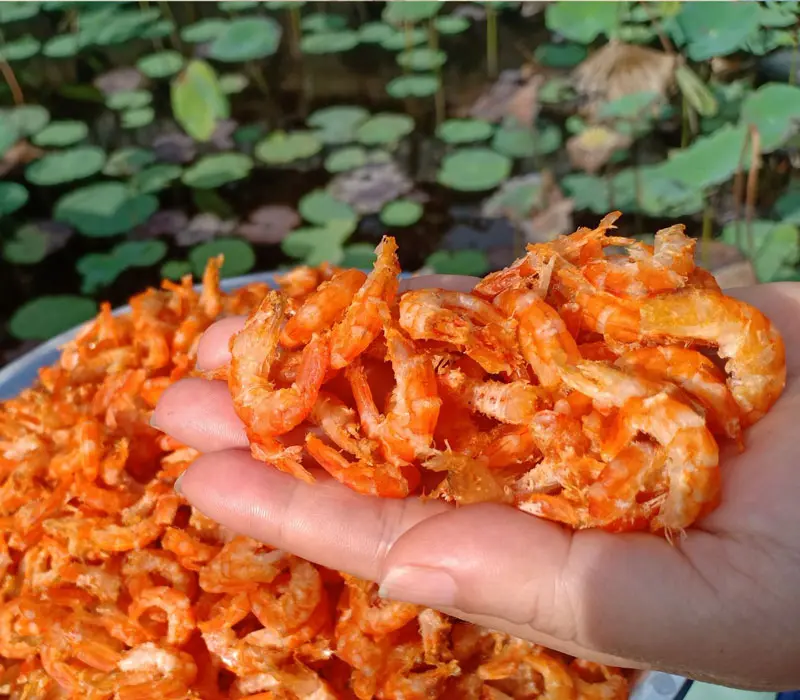 T&ocirc;m kh&ocirc; Vinh Kim, m&oacute;n ăn thơm ngon nổi tiếng của Tr&agrave; Vinh 8