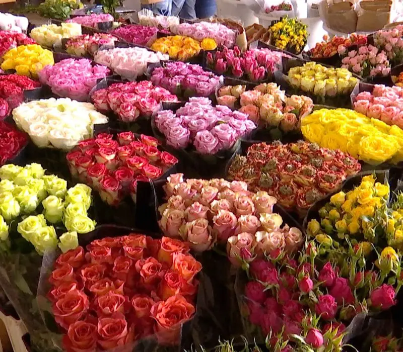 Chợ hoa Đấu Nam, cánh gió cho thị trường hoa Trung Quốc